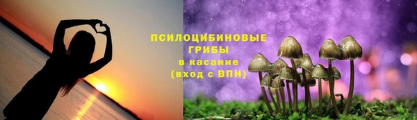 МДМА Гусиноозёрск