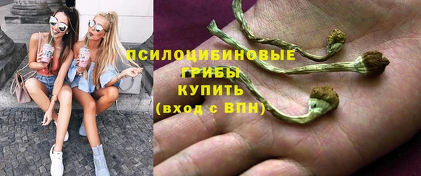 PSILOCYBIN Дмитровск