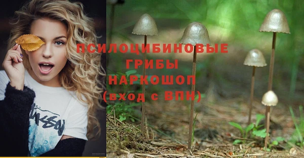 a pvp Дмитров