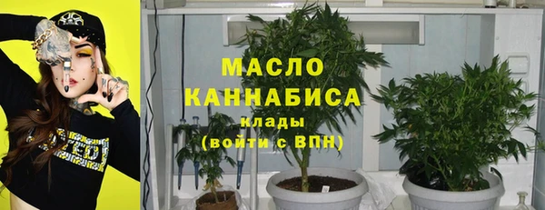 стаф Гусев