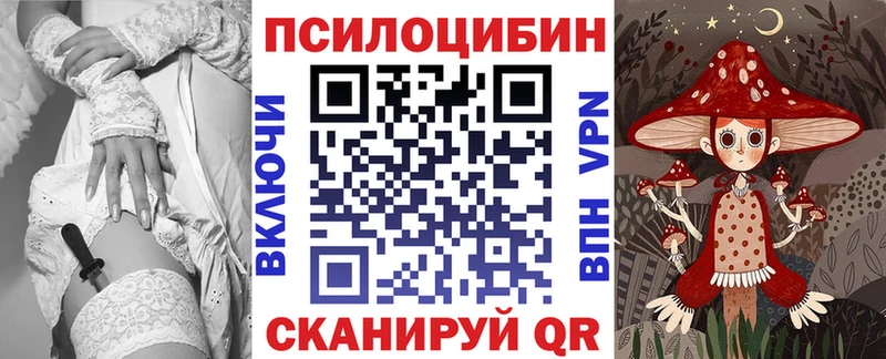 Псилоцибиновые грибы Cubensis  где можно купить   Керчь 